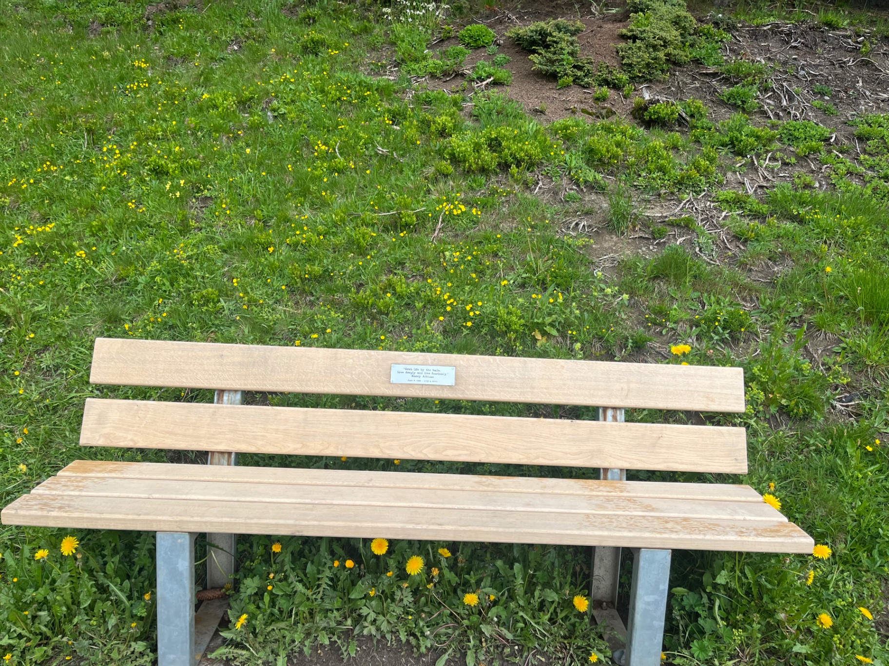 Kasey's memorial bench in Mürren with engraved plaque