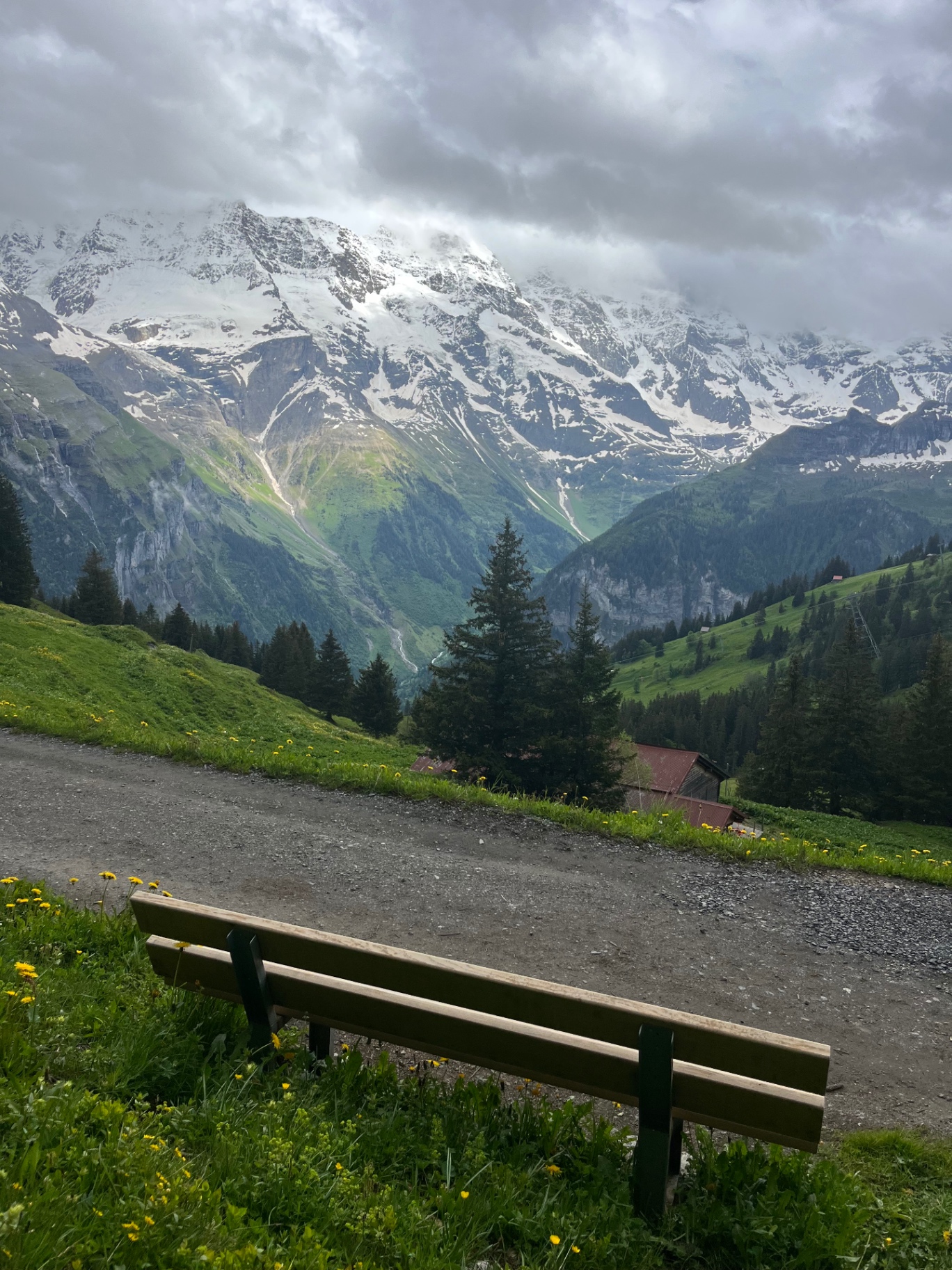 Memorial bench overlooking the Swiss Alps in Mürren
