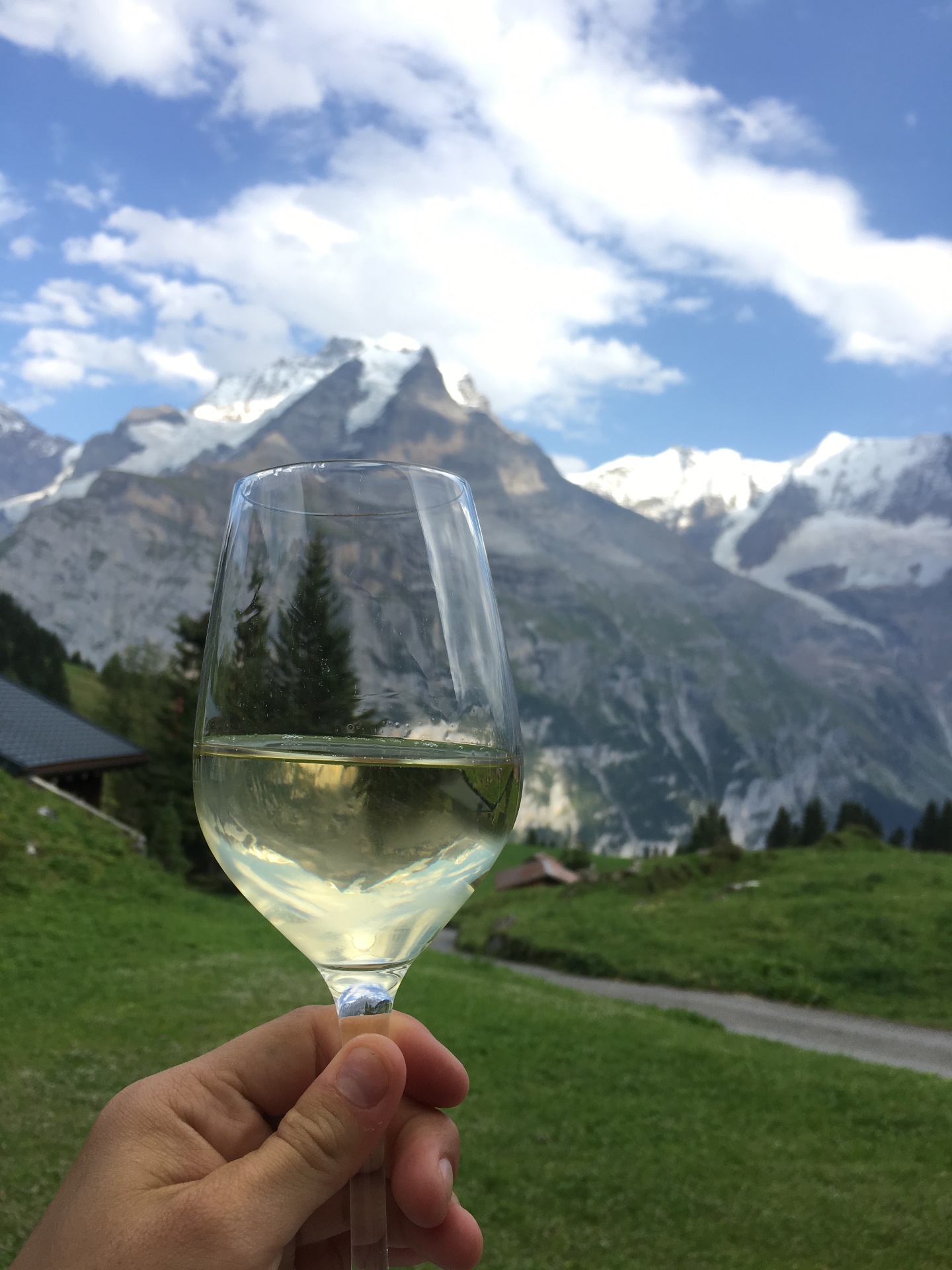 A toast to Kasey with a glass of wine and mountain views